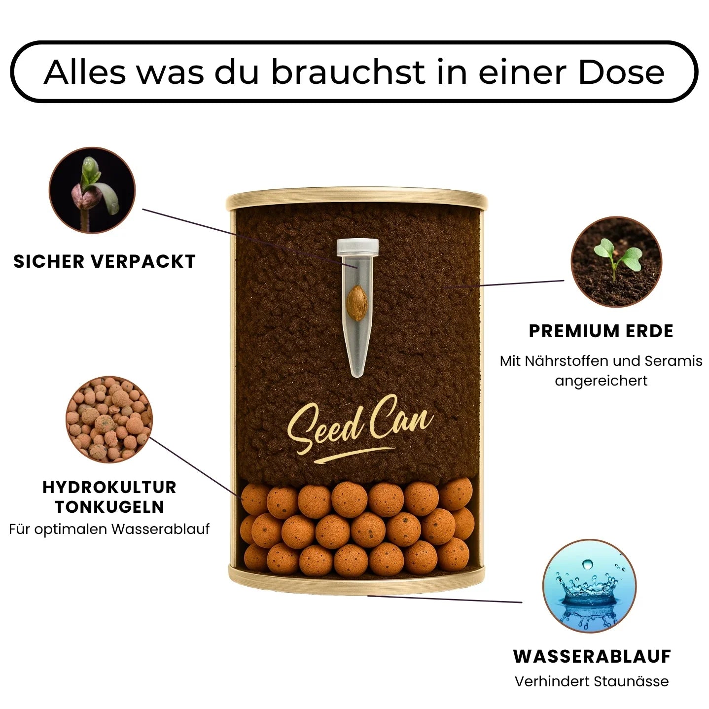 Cannabis Growkit mit Samen, Erde & Seramis