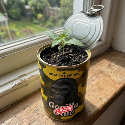 SeedCan Hanf Grow-Kit