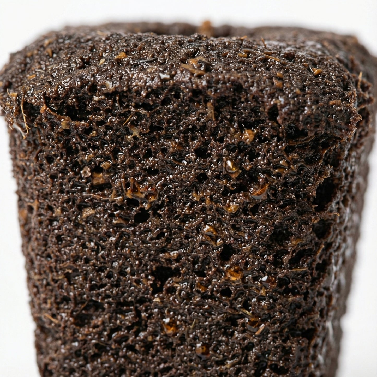 Anzuchtkit Hanf inkl. 3 Samen