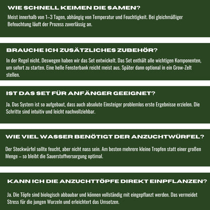 Anzuchtkit Hanf inkl. 3 Samen