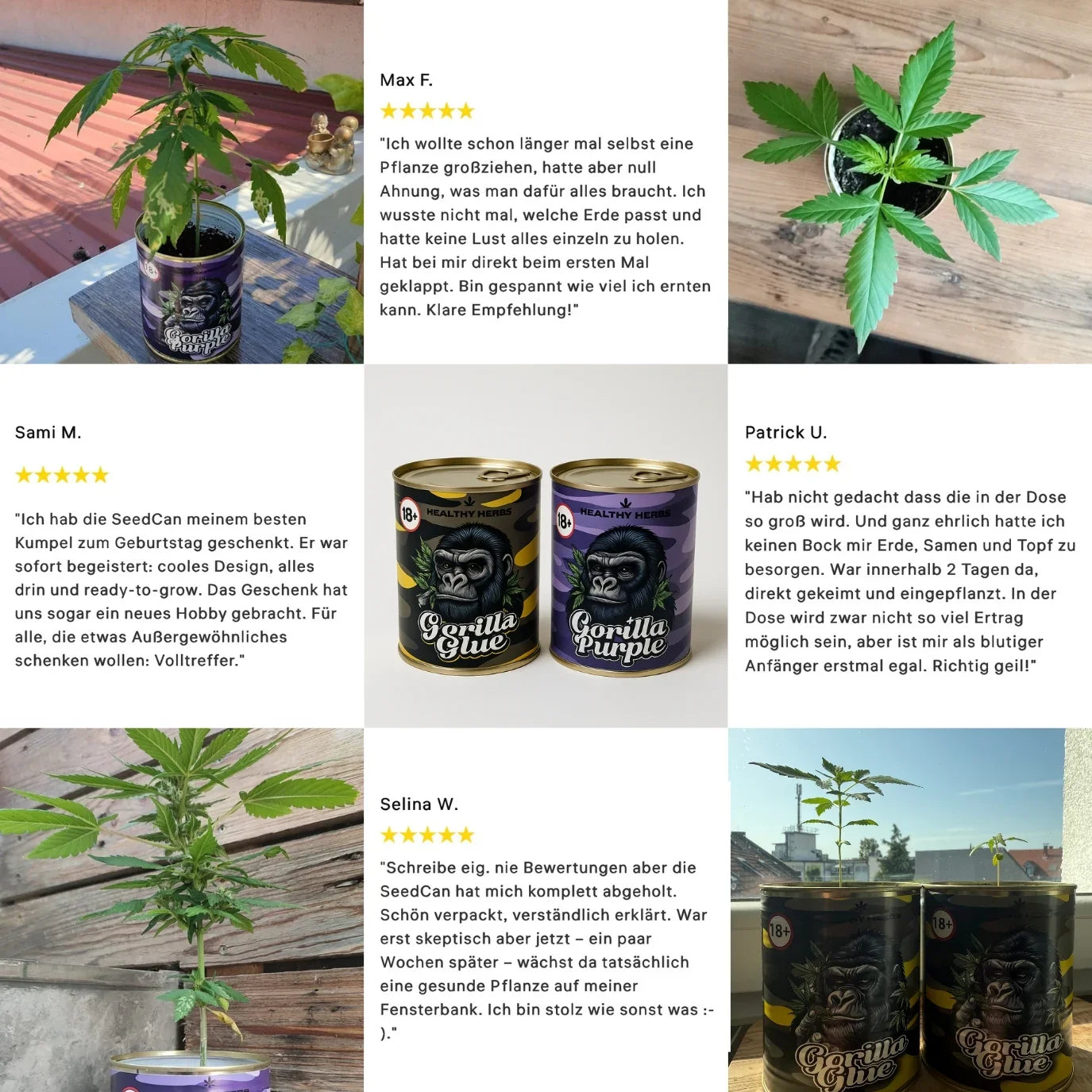 Cannabis Growkit mit Samen, Erde & Seramis