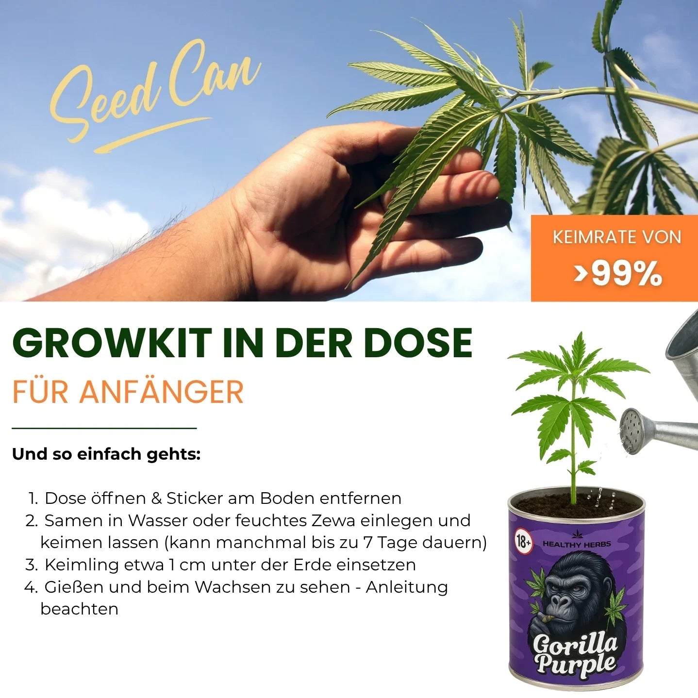 Cannabis Growkit mit Samen, Erde & Seramis