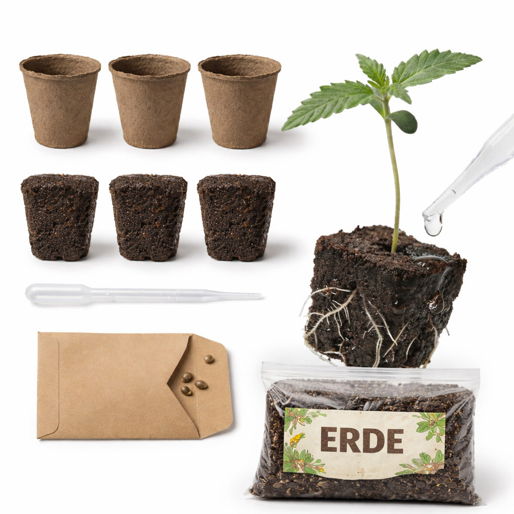 Anzuchtkit Hanf inkl. 3 Samen