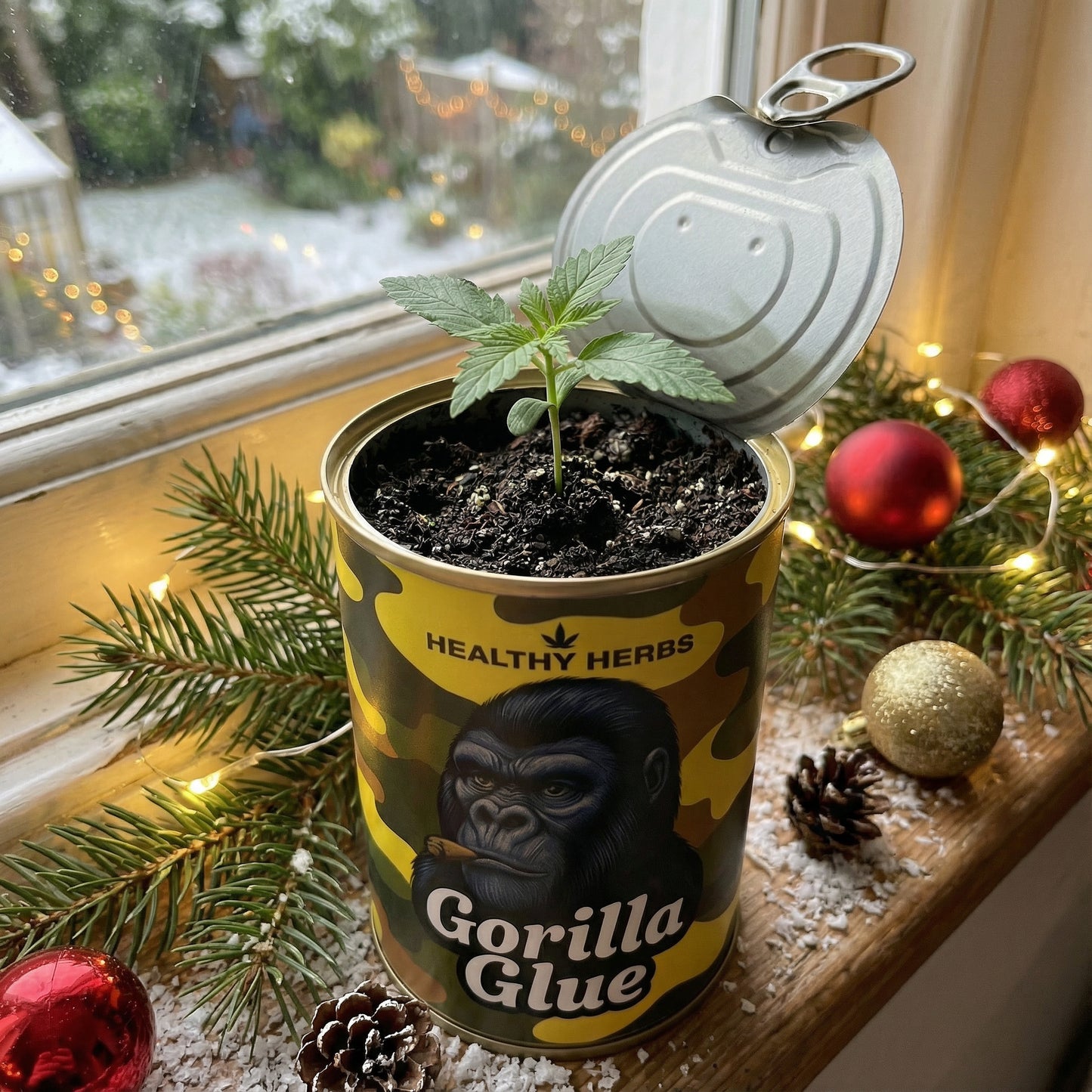 SeedCan Hanf Grow-Kit